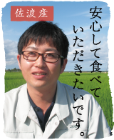 佐渡産コシヒカリ