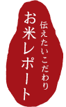 お米レポート